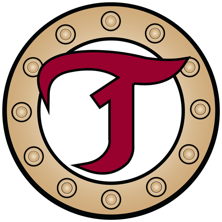 Acadie-Bathurst Titan 2013-Pres Alternate Logo iron on transfers for clothing